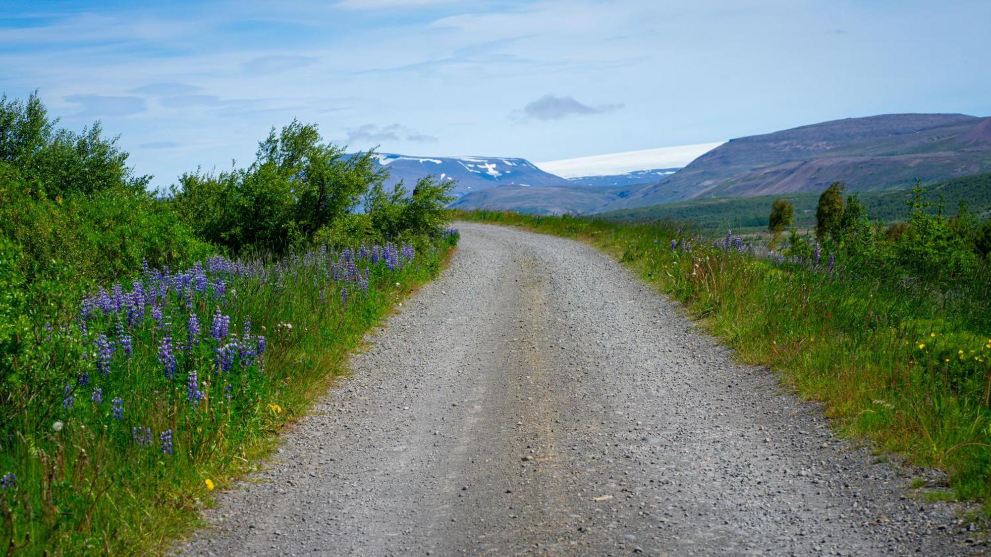 Hotel A Reykholt  Luaran gambar